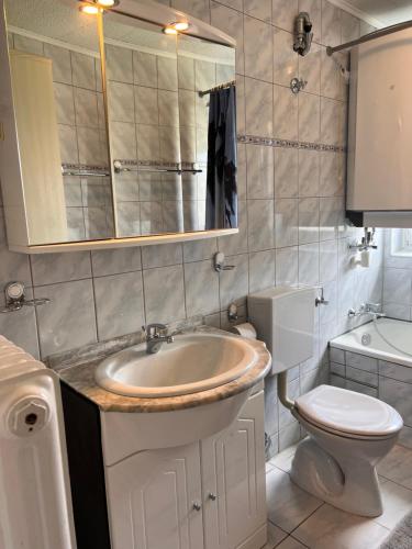 a bathroom with a sink and a toilet and a mirror at Premium Handwerker- & Monteurzimmer mit Gemeinschaftsbad in Rosenfeld