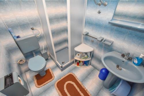 a small bathroom with a toilet and a sink at Apartments TIM in Sveti Petar