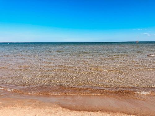 a large body of water with a sandy beach at Villa am Strand in Eckernförde