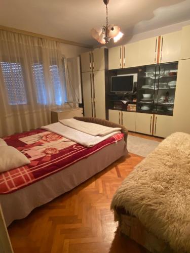 een slaapkamer met een bed en een televisie. bij Country House Mitrovic in Babušnica