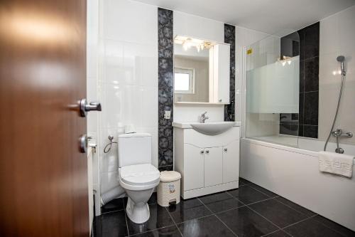 un baño con inodoro y lavabo en Artemis Villa, en Poiana Brasov