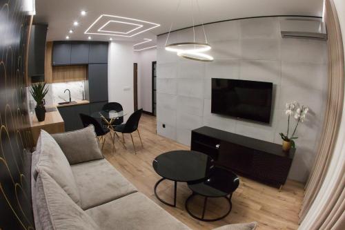 sala de estar con sofá y TV en Apartament POSEJDON Gliwice, en Gliwice
