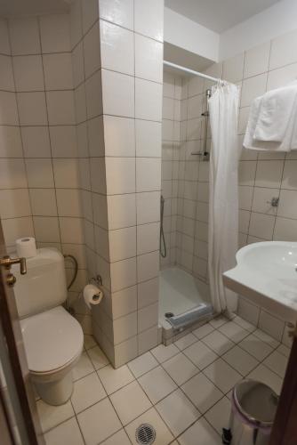 a bathroom with a toilet and a shower and a sink at City Hotel Apollonion in Karpenision