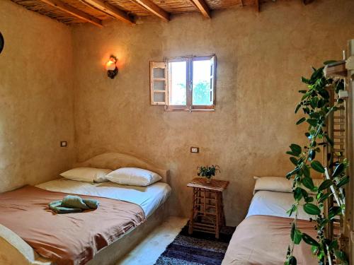 Habitación con 2 camas y ventana en Cafour House Siwa - Hot Spring, en Siwa