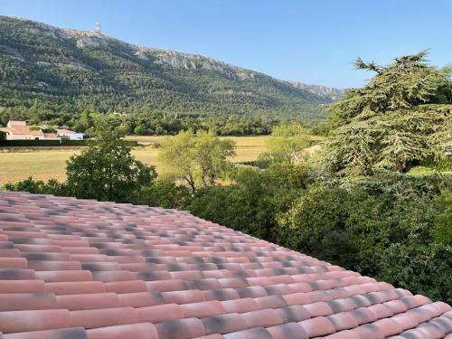 ein gefliestes Dach mit Blick auf ein Feld und die Berge in der Unterkunft Au pied de la Sainte Baume in Plan dʼAups