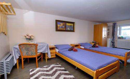 Ένα ή περισσότερα κρεβάτια σε δωμάτιο στο Vila24 Levice