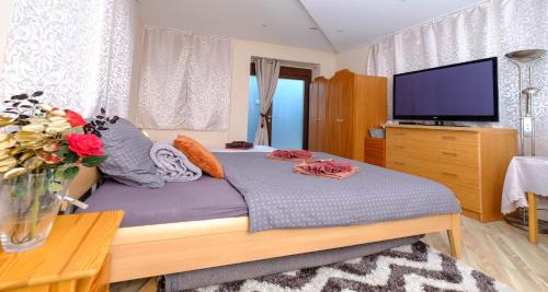 Μια τηλεόραση ή/και κέντρο ψυχαγωγίας στο Vila24 Levice