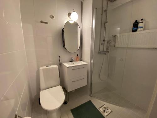 a bathroom with a toilet and a shower and a mirror at Funky City Apartment in Rovaniemi
