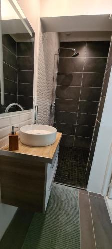 y baño con lavabo y ducha. en Appartement cosy Champagnole en Champagnole