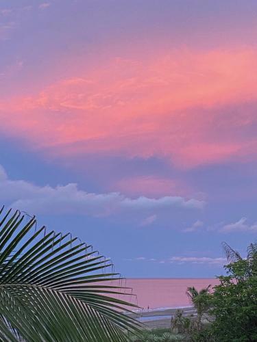 a sunset over the ocean with a palm tree at Uverito Sand Dollar B&B in Las Tablas