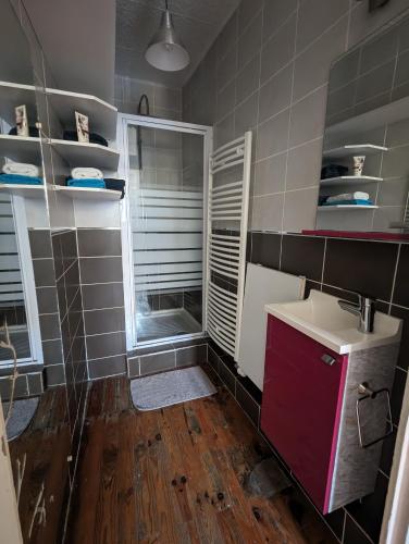 une salle de bain avec un lavabo, une douche et un miroir dans l'établissement Charme et Authenticité, à Perreux