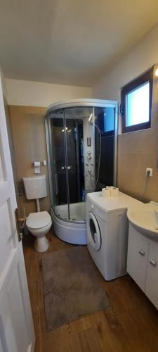 a bathroom with a shower and a toilet and a sink at Casa Magnolia in Bran