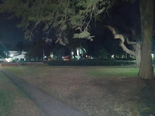 un parc de nuit avec un arbre et un trottoir dans l'établissement Allá en el sur, à Ezeiza