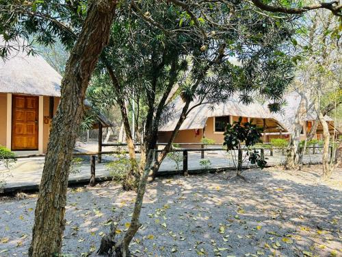 Galería fotográfica de THE GALAXY FOREST LODGE en Manguzi
