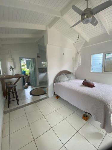 Postel nebo postele na pokoji v ubytování Akunamatata Guest House Grand Case