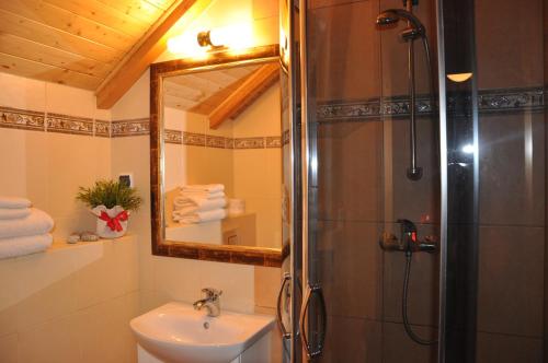 a bathroom with a shower and a sink and a mirror at Central Łeba Suites in Łeba