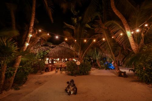 a dog laying on the beach at night at Diamante K - Inside Tulum National Park in Tulum