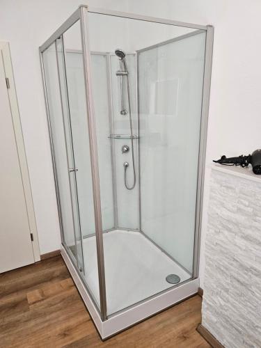 a shower with a glass enclosure in a room at FeWo Gabriella in Püttlingen