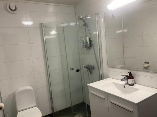 a bathroom with a shower and a sink and a toilet at Nyoppusset leilighet in Sogndal