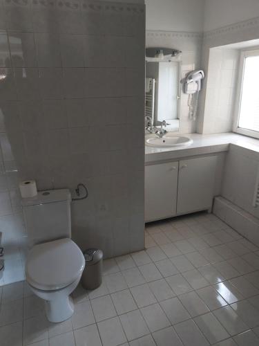 ein Bad mit einem WC und einem Waschbecken in der Unterkunft La Table du Pic in Montverdun
