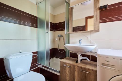 a bathroom with a toilet and a sink at Apartmány Kateřina in Ricany