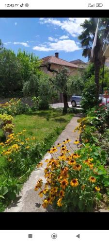 a garden with yellow and orange flowers next to a house at Sea and Sunshine in Tivat