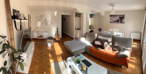 Una habitación en mi casa - Centro de Santander في سانتاندير: غرفة معيشة مع كلب يجلس على أريكة