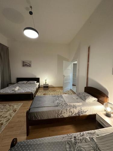 een slaapkamer met 2 bedden en een lamp bij Apartment Monte in Sarajevo