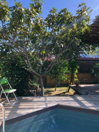 a backyard with a swimming pool and a tree at La Casa Del Racou in Argelès-sur-Mer