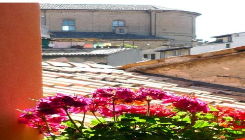 a group of pink flowers sitting on top of a building at Camera con vista in Fossombrone