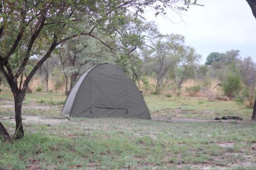 a tent sitting in a field next to a tree at Moae Campsite 