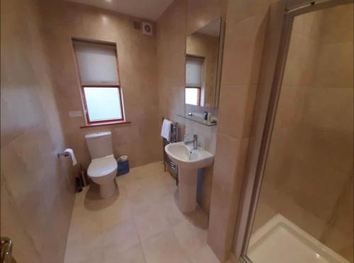 a bathroom with a toilet and a sink and a shower at The Lake House in Drumshanbo