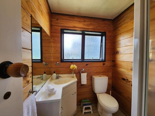 a bathroom with a toilet and a sink at Kotare Cottage Hahei in Hahei