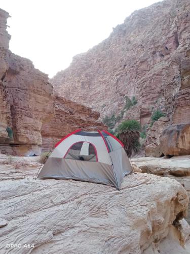 a tent sitting on a rock in a canyon at - Trekking from Dana to Petra in Dana