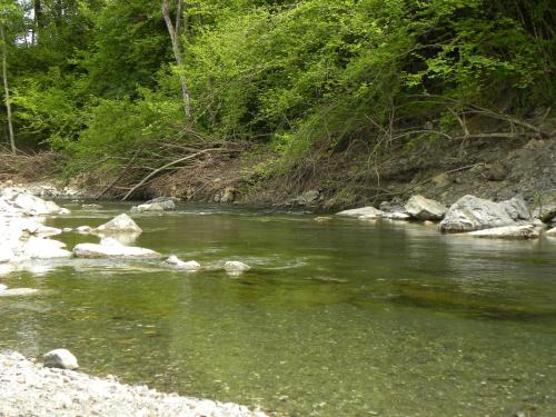a river with green water and rocks and trees at La Castagna Matta in Albareto