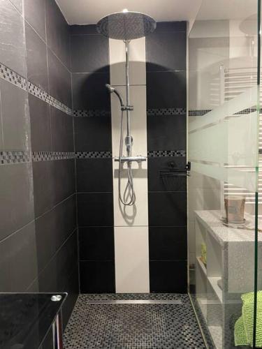 a bathroom with a shower with black and white tiles at Outlet Center House, Pool-Jacuzzi-Garden-Sundeck in Parndorf