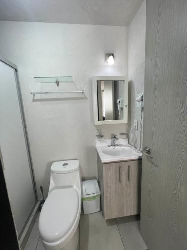 een kleine badkamer met een toilet en een wastafel bij Departamentos centricos en guadalajara in Guadalajara