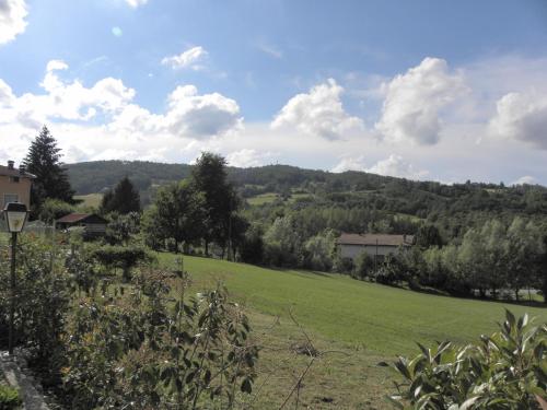 a green field with a mountain in the background at La Castagna Matta in Albareto