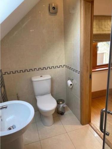 Richardstown Straffan Kildare : حمام مع مرحاض ومغسلة