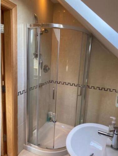 a bathroom with a shower and a sink at Richardstown Straffan Kildare in Boherhole Cross Roads