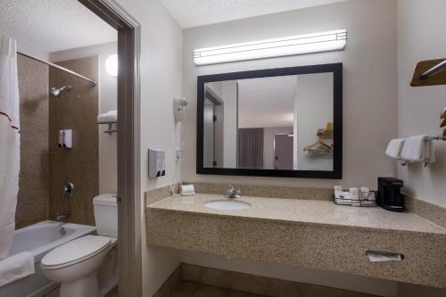a bathroom with a sink and a toilet and a mirror at Red Roof Inn Atlanta Airport NE Conley in Conley