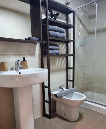 La salle de bains est pourvue d'un lavabo, de toilettes et d'une douche. dans l'établissement Apartamento El Estrecho, à Algésiras