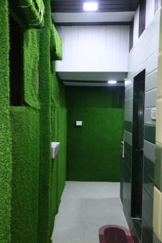 a green wall in a bathroom with a door at Dormitory Hub in Mumbai