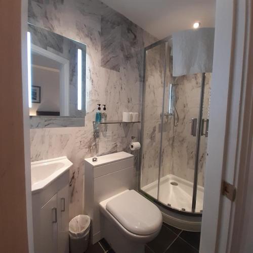 a bathroom with a shower and a toilet and a sink at The Merrydale Guest House in Llandudno