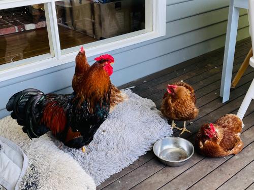 a group of chickens standing outside of a door at Farm Stay POPLAR Cottage at Wilindi Estate in Tyabb