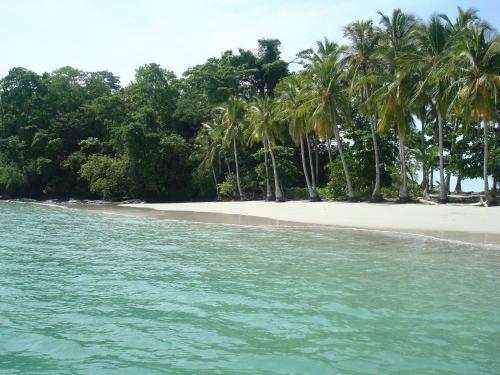 an empty beach with palm trees on the shore at Hotel Panamonte in Boquete