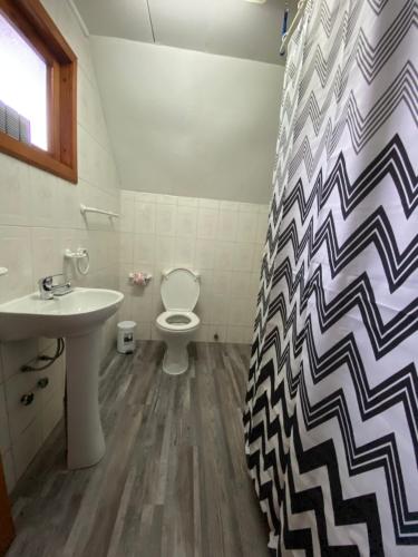 La salle de bains est pourvue d'un lavabo, de toilettes et d'un rideau de douche. dans l'établissement Cabañas kavizke, à Puerto Puyuhuapi