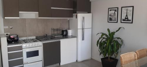 uma cozinha com electrodomésticos brancos e um vaso de plantas em CONFORT BELGRANO em Buenos Aires