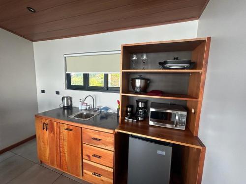uma cozinha com um balcão com um lavatório e um micro-ondas em Villas Páramo Cloud Forest Hotel em División