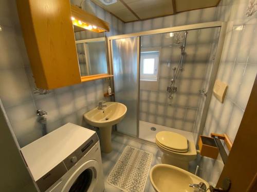 a bathroom with a sink and a toilet and a shower at Ciamorc Relax & Sport Appartament for max 2 Adults 1 child 1 infant in Canazei